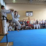 Emil Nopi chagi.IMG_8262